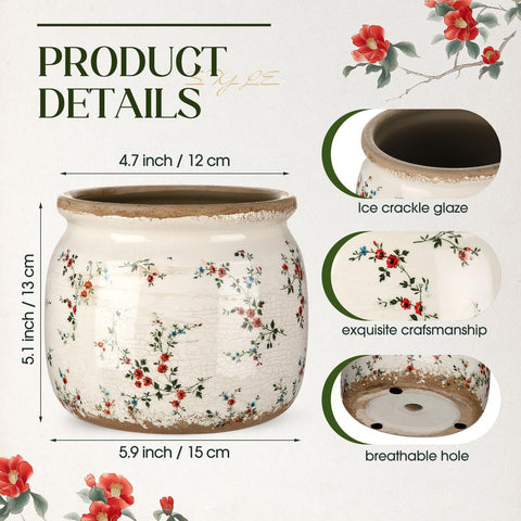Ninehaoou ceramic planter with rustic floral scroll accents for living room charm