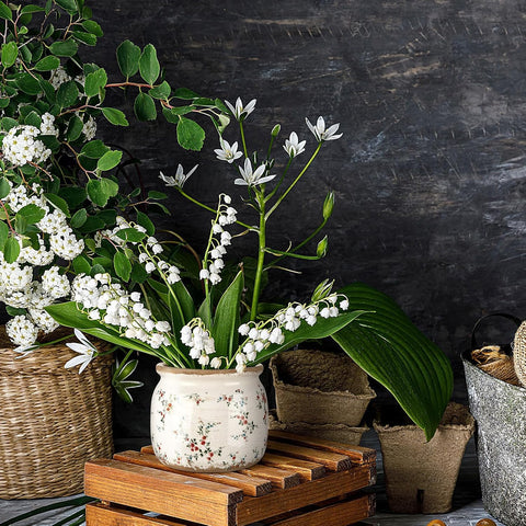 Ninehaoou two-pack gift-ready planter for plant lovers.