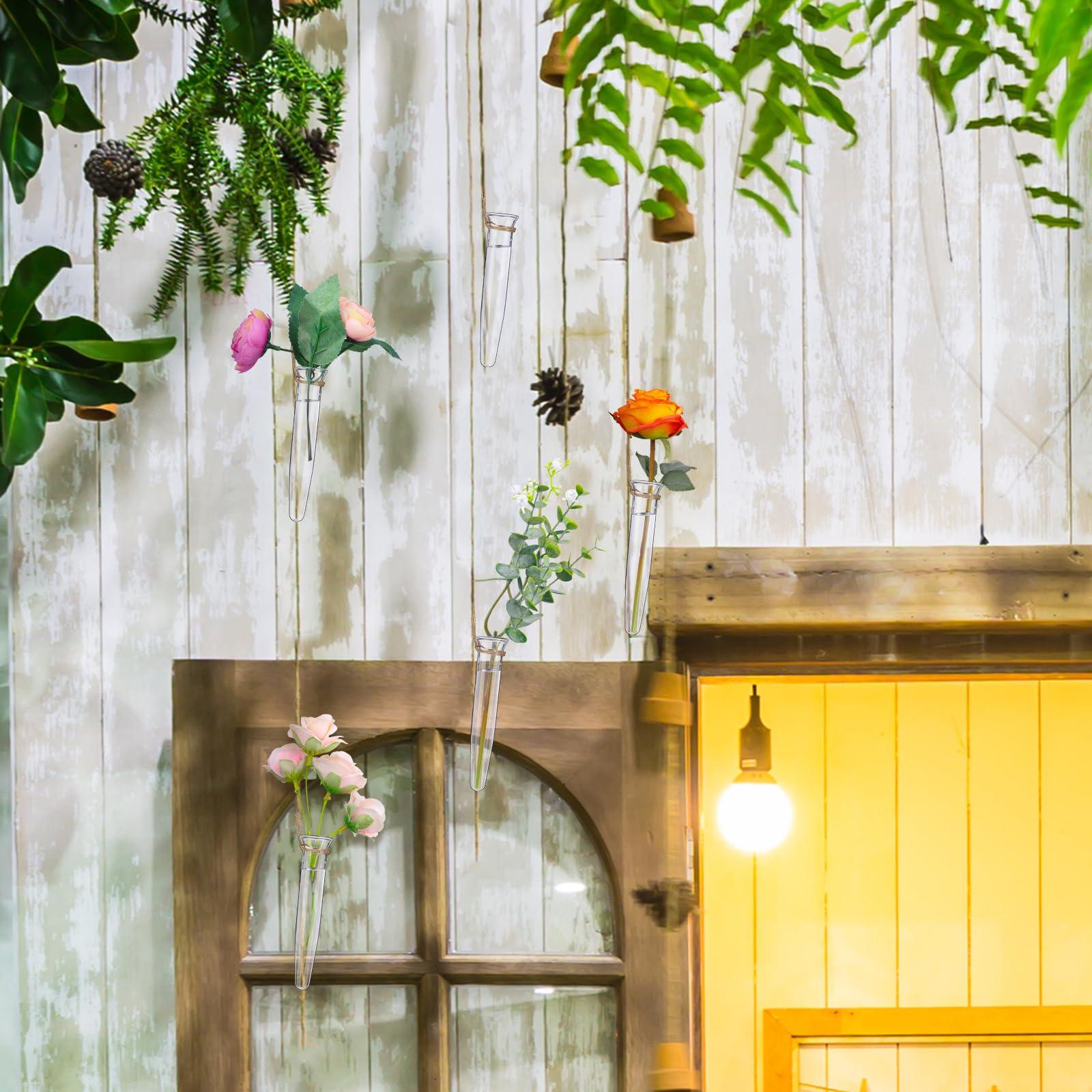 Ninehaoou wall display in living room with propagation tubes as modern decor