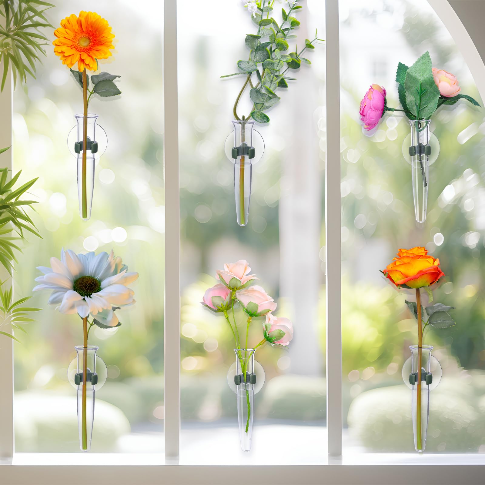 Ninehaoou window propagation station with suction cup on glass for a tidy plant display
