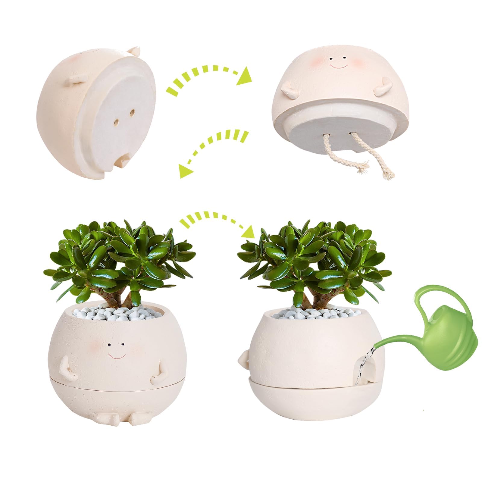 NINIPAPA drainage holes highlight easy watering and root care.