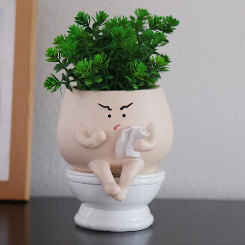 NINIPAPA gift-worthy face pot for plant lovers on special occasions.