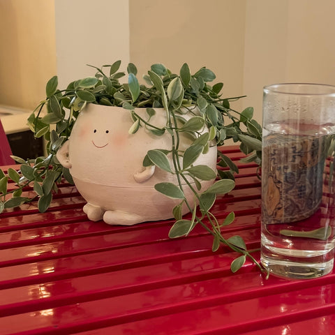 NINIPAPA gift smiley face plant pot for plant lovers.