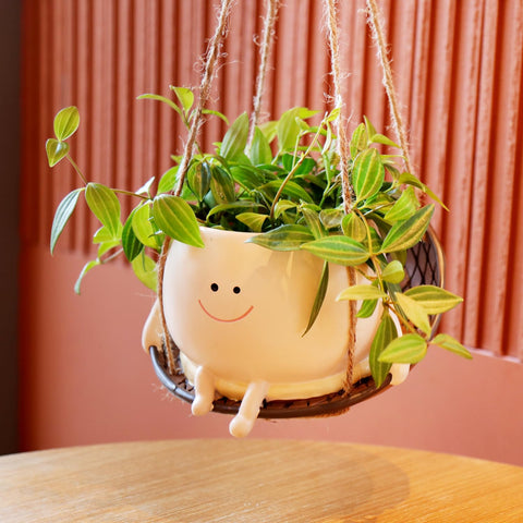 NINIPAPA head planter fits strings of pearls and small succulents for décor