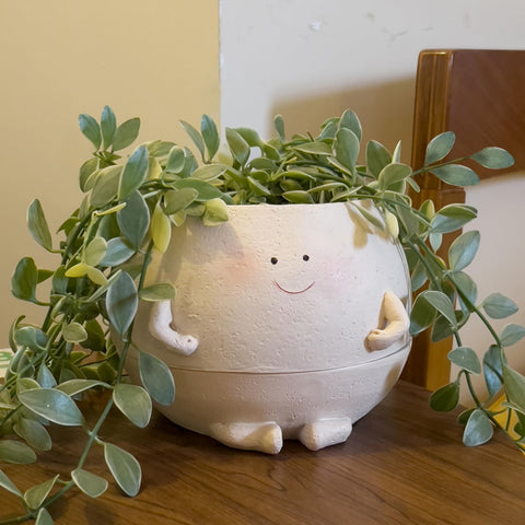 NINIPAPA self-watering pot with a smiley face keeps succulents hydrated.