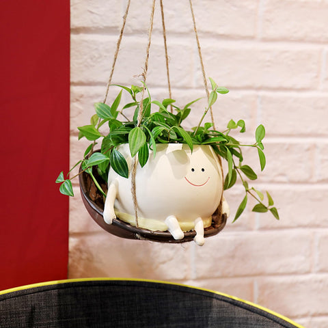 NINIPAPA smile-face planter suited for succulents and small greens on balconies