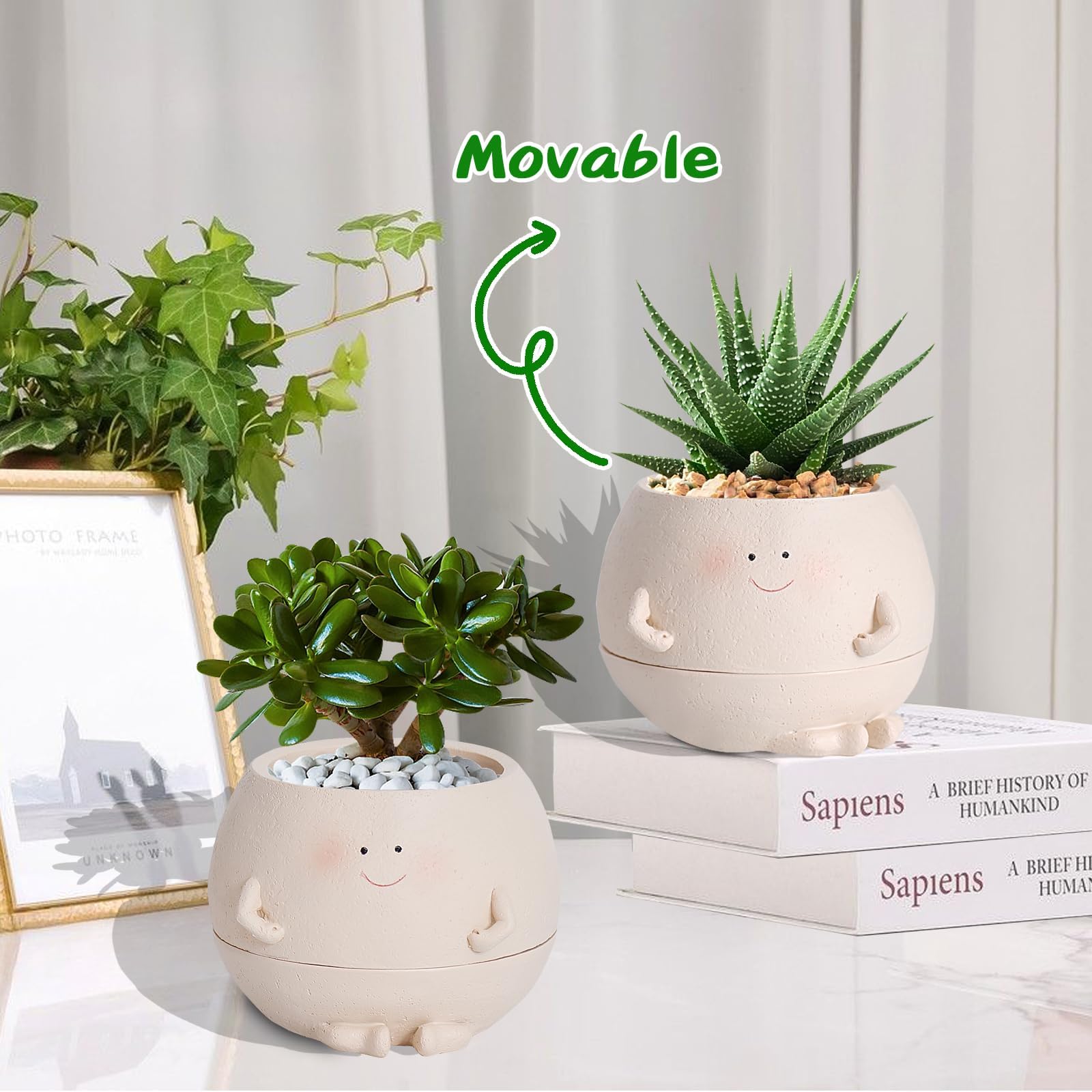 NINIPAPA succulent 4-inch pot suits compact displays.