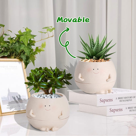 NINIPAPA succulent 4-inch pot suits compact displays.