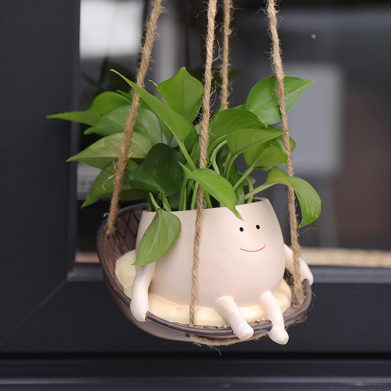 NINIPAPA swing face planter with hook enhances indoor decor and easy plant display.