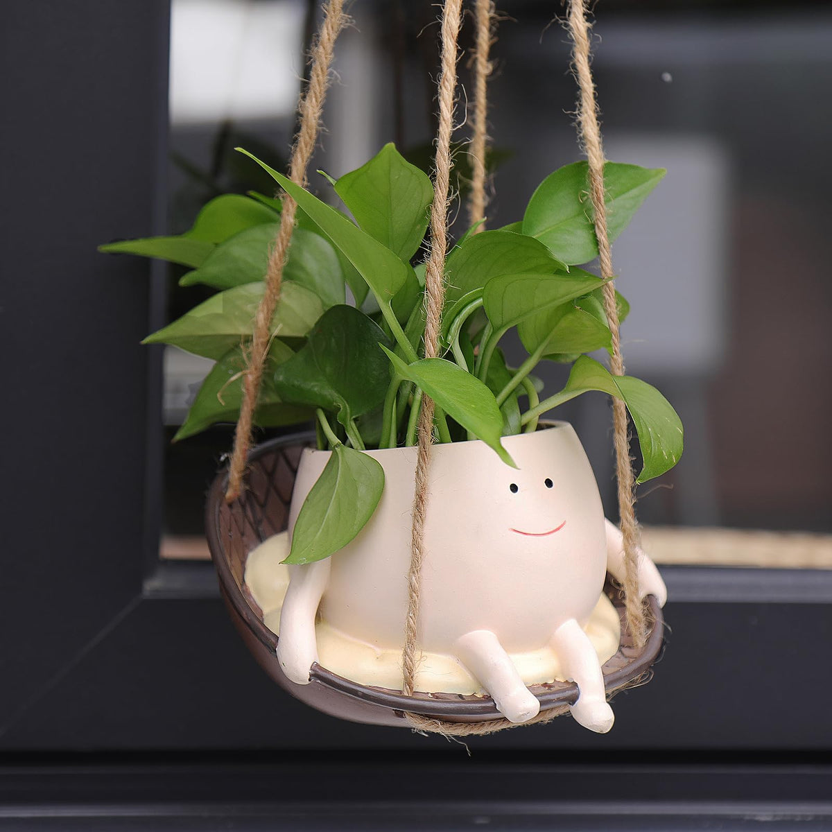 NINIPAPA swing face planter with hook enhances indoor decor and easy plant display.