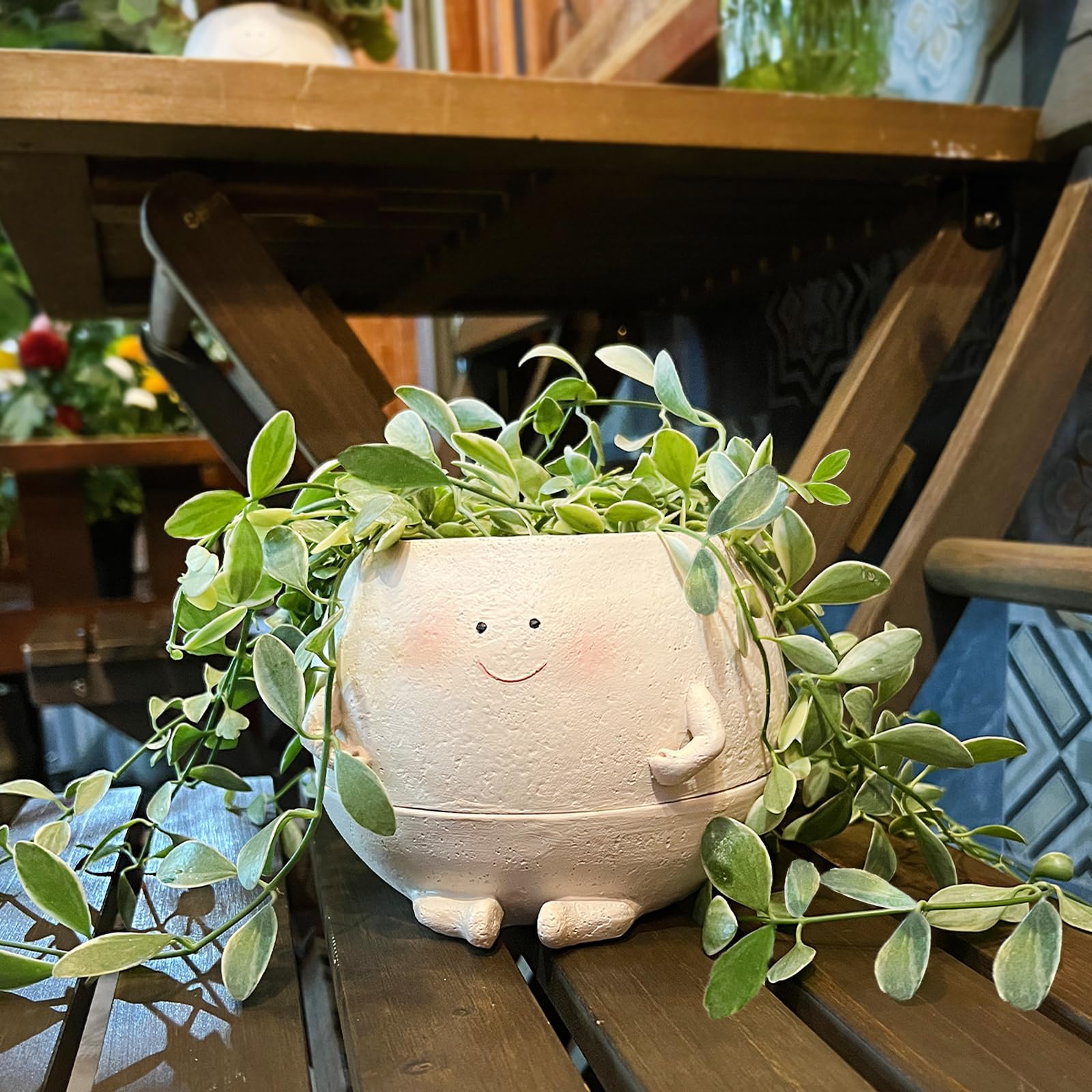 NINIPAPA water saucer and cotton wick system supports steady moisture.