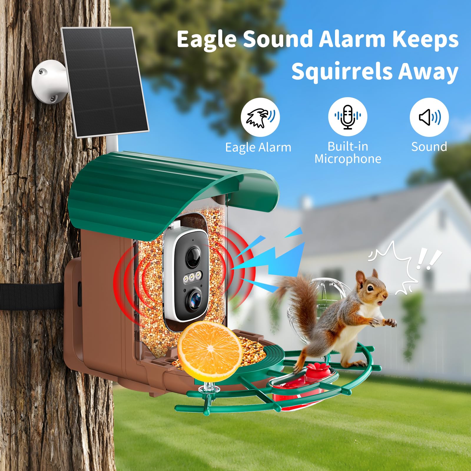 NIORSUN AI bird recognition identifies species and notifies you instantly.