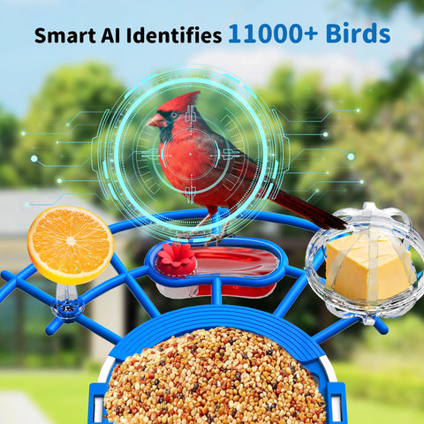 NIORSUN AI recognition app displaying species alerts