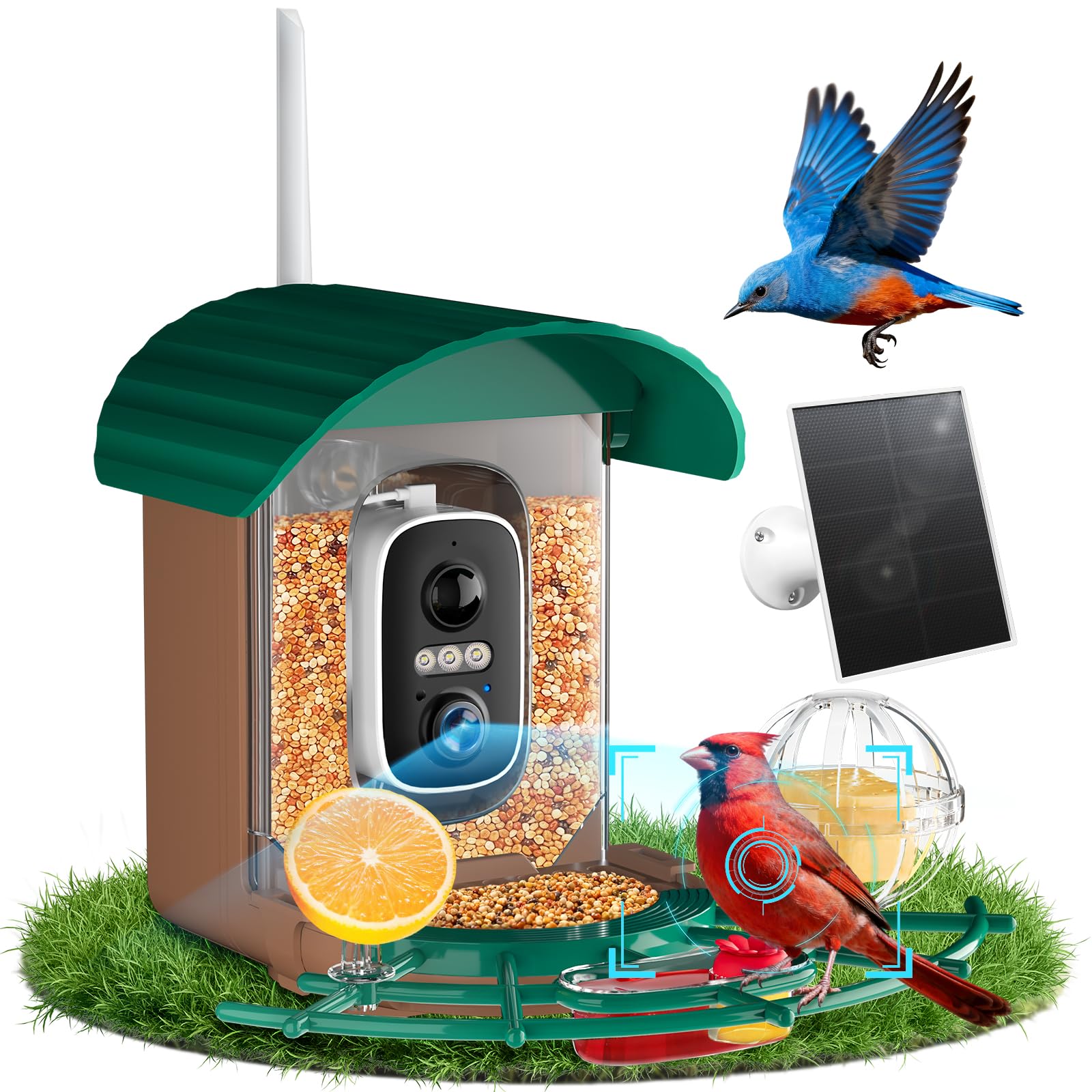 NIORSUN Smart Bird Feeder with camera captures crisp bird visits for real-time viewing.