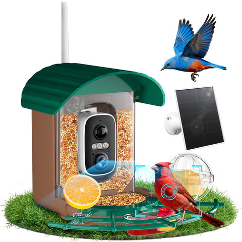 NIORSUN Smart Bird Feeder with camera captures crisp bird visits for real-time viewing.