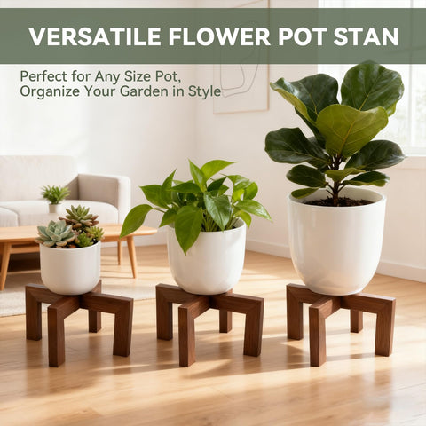 Nipyata plant stand near window with natural light supports healthy plant growth.