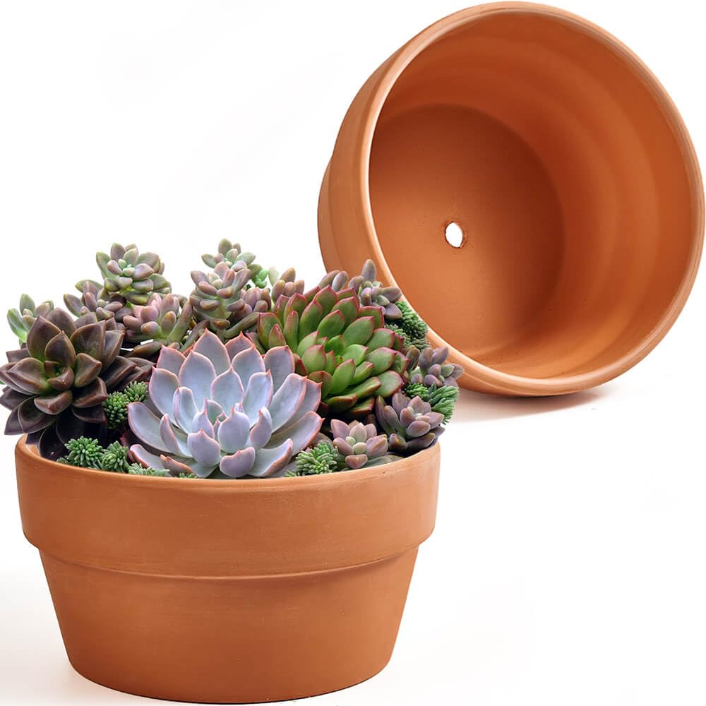 NiSevenLiving 8-inch shallow terracotta pot for succulents, ideal for compact arrangements.
