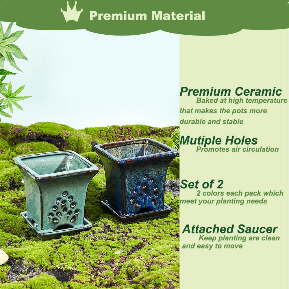 NiSevenLiving attached saucer keeps water contained for a tidy planting area.
