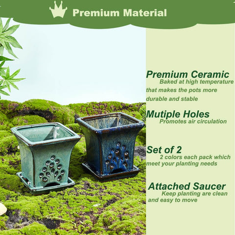 NiSevenLiving attached saucer keeps water contained for a tidy planting area.