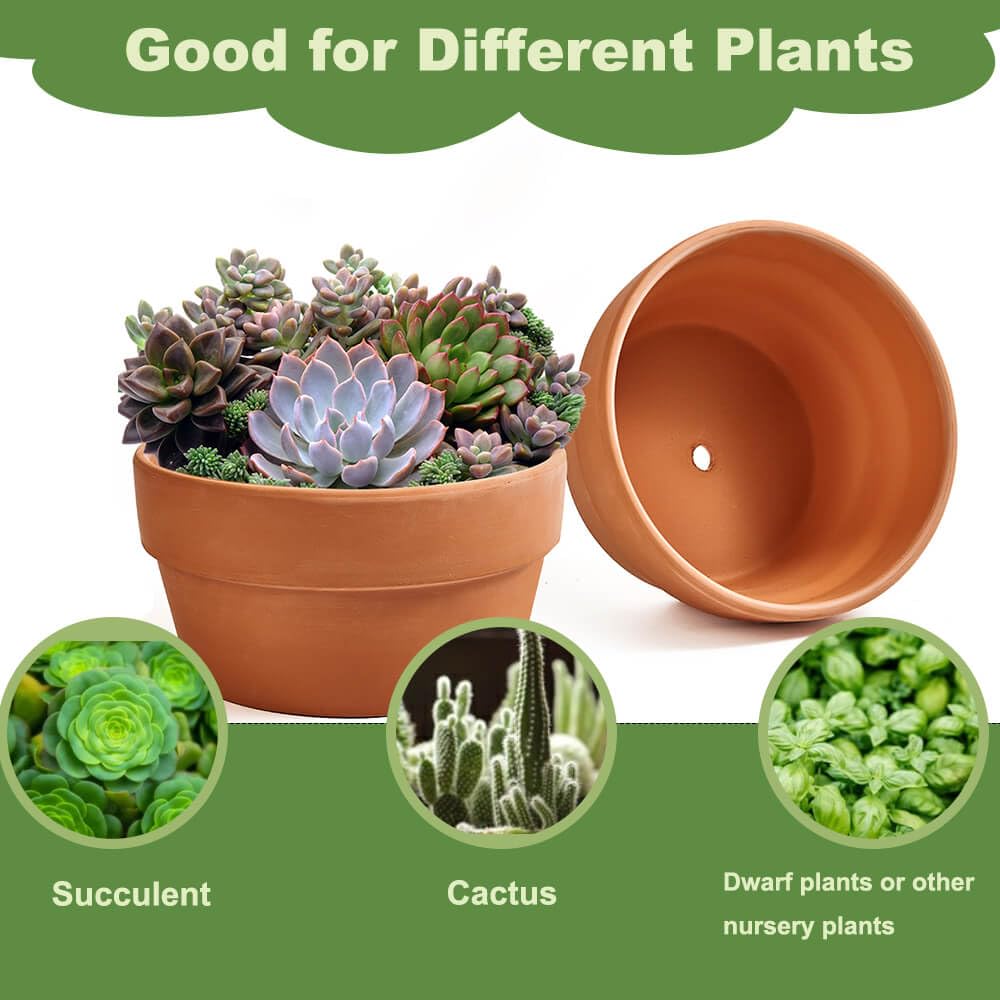 NiSevenLiving indoor/outdoor plant pot, perfect for cactus and succulent arrangements.