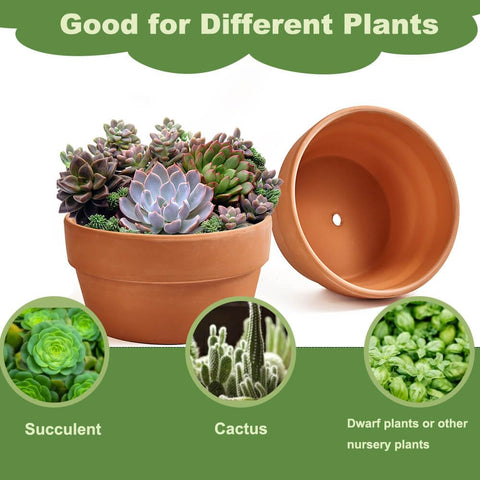 NiSevenLiving indoor/outdoor plant pot, perfect for cactus and succulent arrangements.