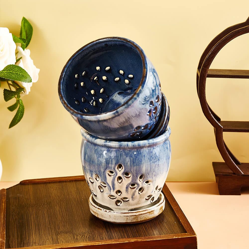 NiSevenLiving double-pack orchid pots in blue purple for versatile placement