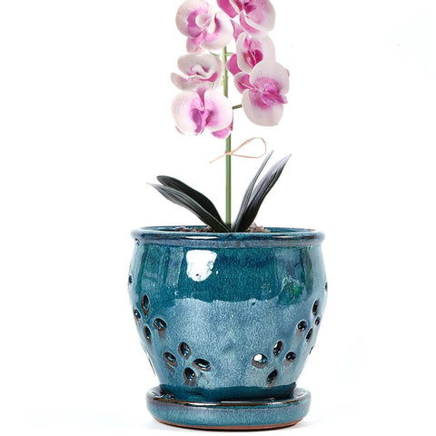 NiSevenLiving orchid pot with holes and attached saucer supports healthy root airflow.