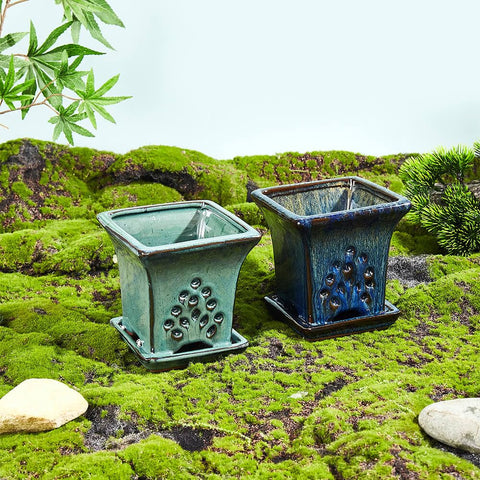NiSevenLiving square orchid planter with holes is ideal for repotting and decor.