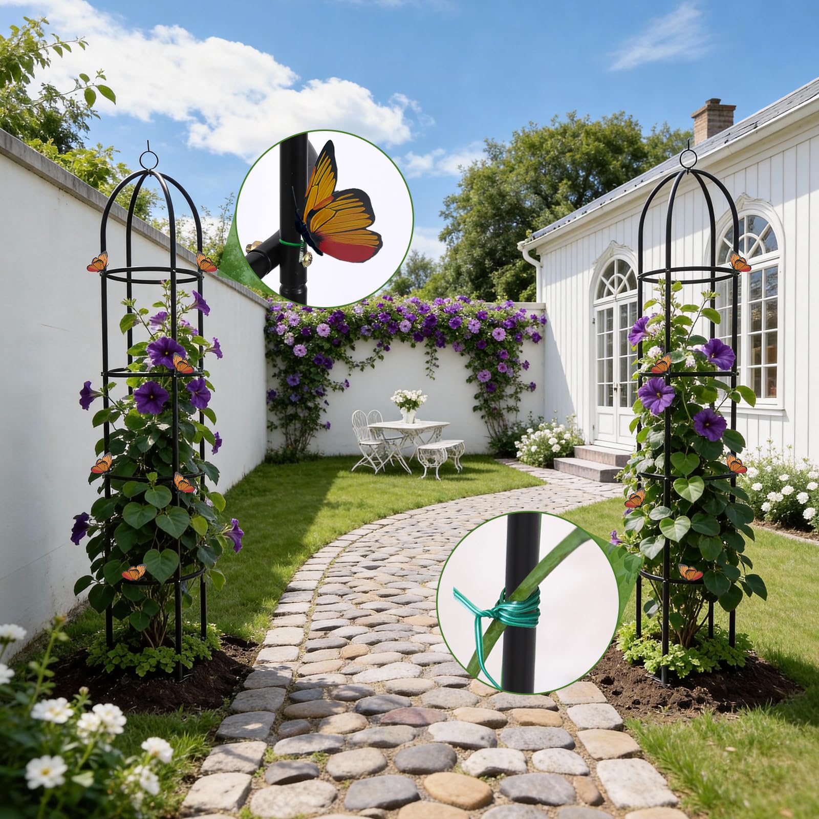 Nisoger jasmine and morning glory-friendly trellis enhances garden aesthetics.