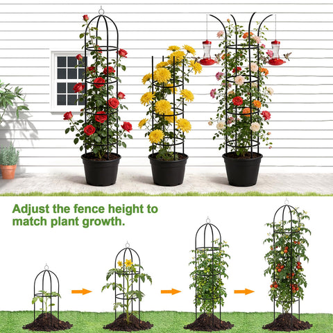 Nisoger rose and clematis support keeps flowering vines climbing neatly.