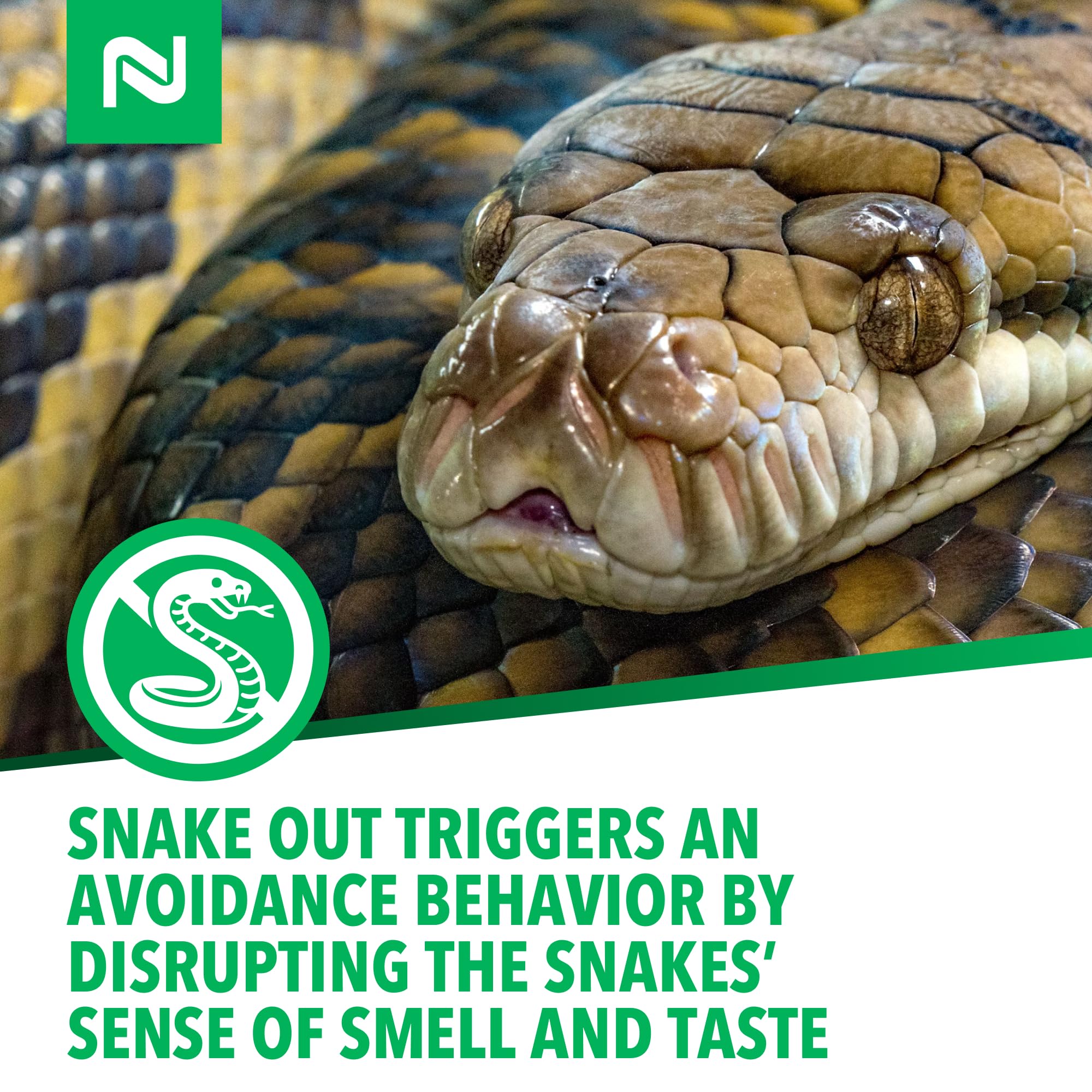 Nisus Snake Out perimeters around foundations help protect woodpiles.