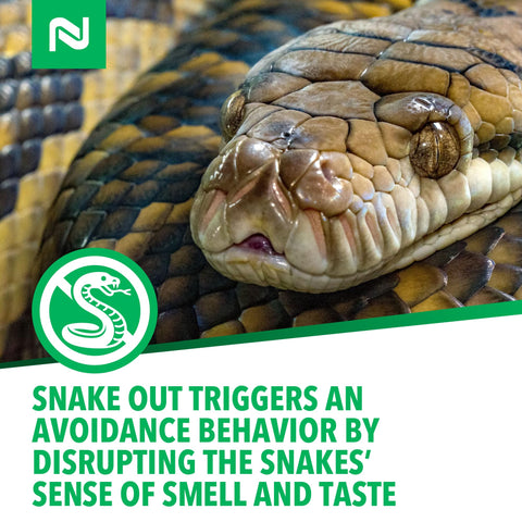 Nisus Snake Out perimeters around foundations help protect woodpiles.