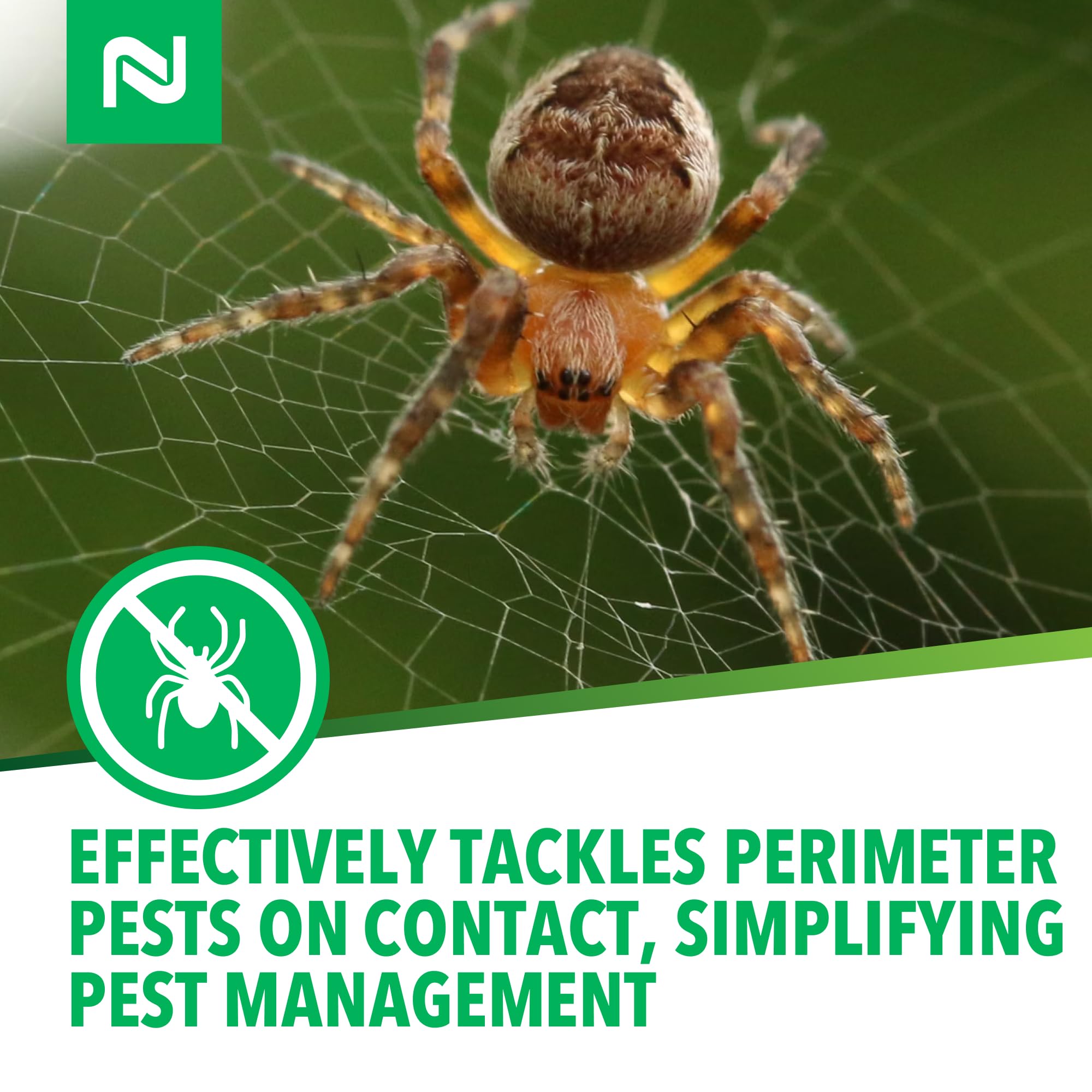 Nisus Web Out Fragrance dissipates quickly after use