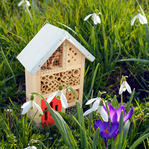 Niteangel garden insect house hangs on a balcony to support beneficial insects.