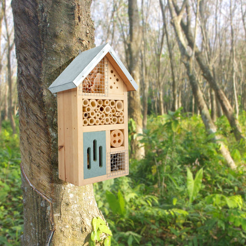 Niteangel insect hotel hanging on balcony supports observation of garden visitors