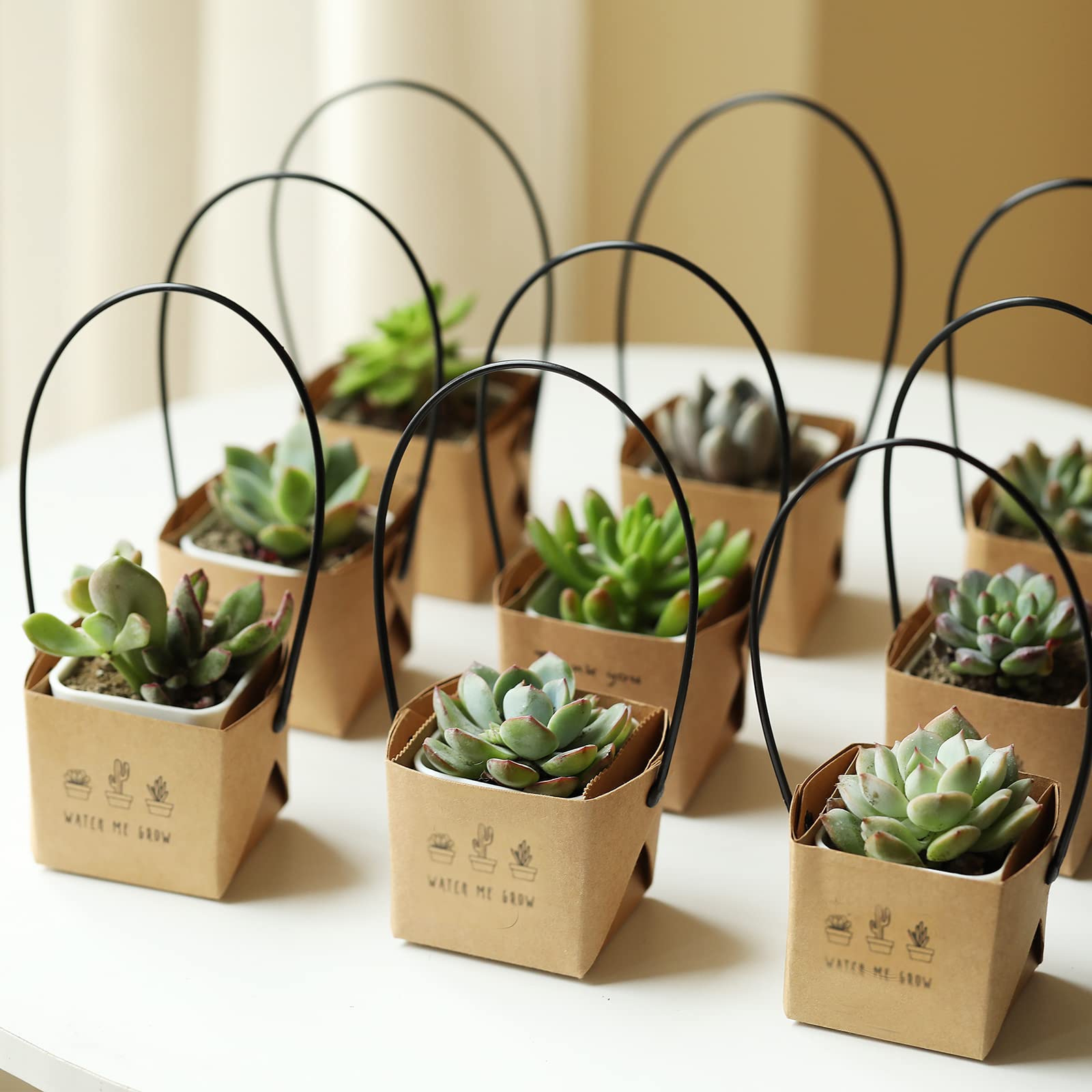 NITHECON kraft paper wrap for 2x2 inch pots adds easy gift touch