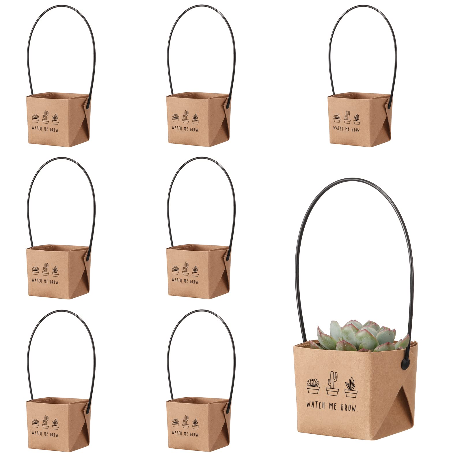 NITHECON Watch Me Grow wrap on a 40pc set enhances baby shower decor