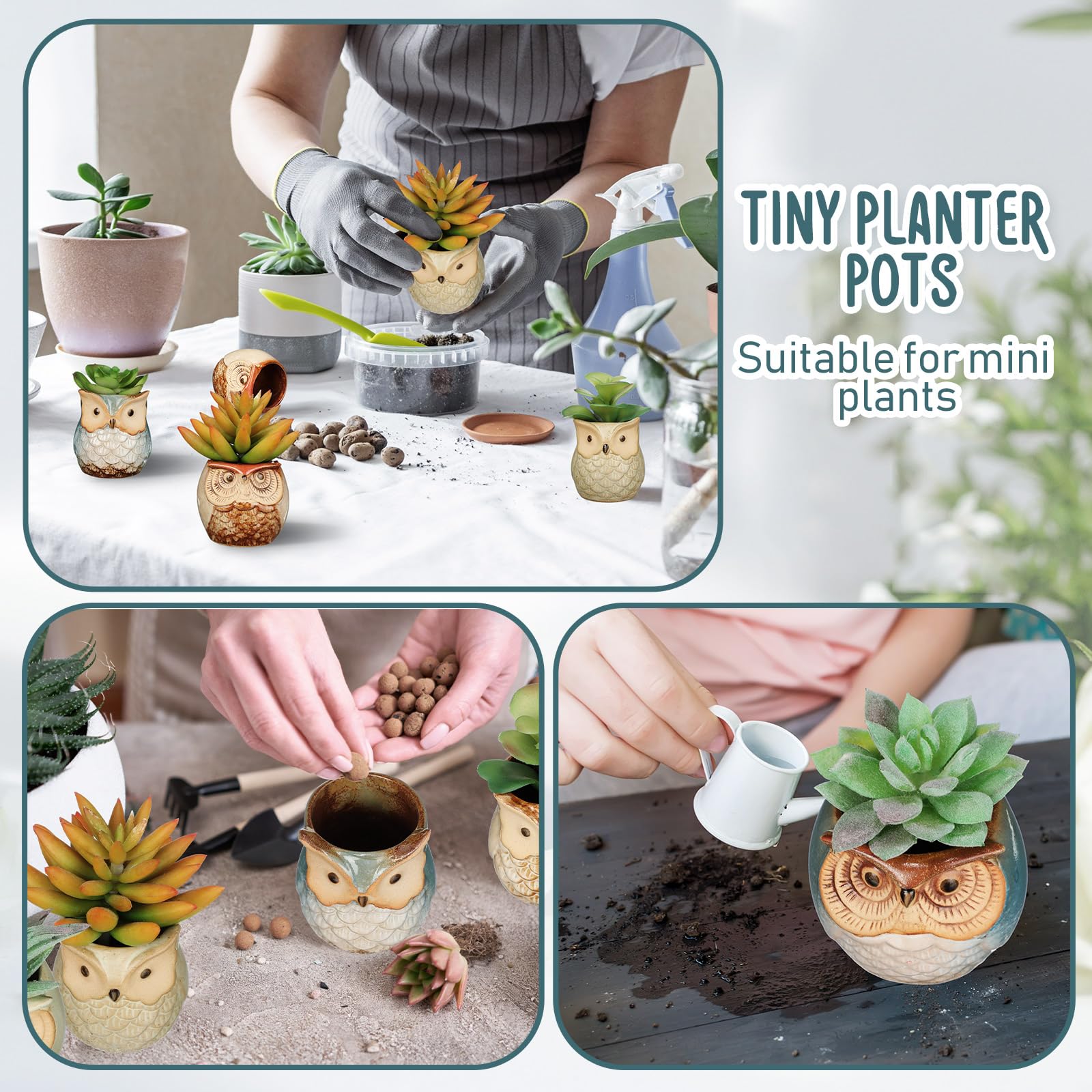 Nitial mini pots on desk and windowsill suit compact plants and herbs