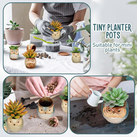 Nitial mini pots on desk and windowsill suit compact plants and herbs