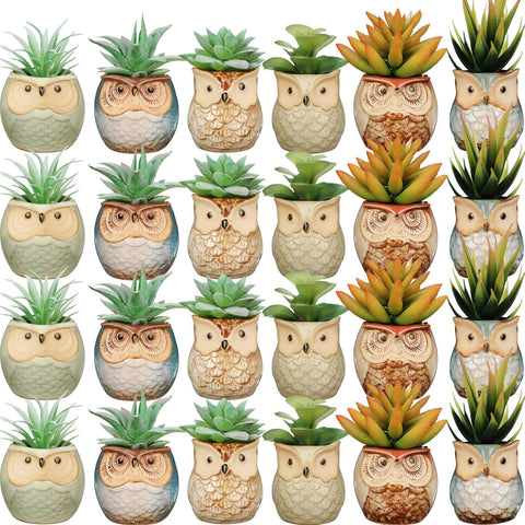 Nitial owl succulent pot front view adds a cute decor touch for small plants