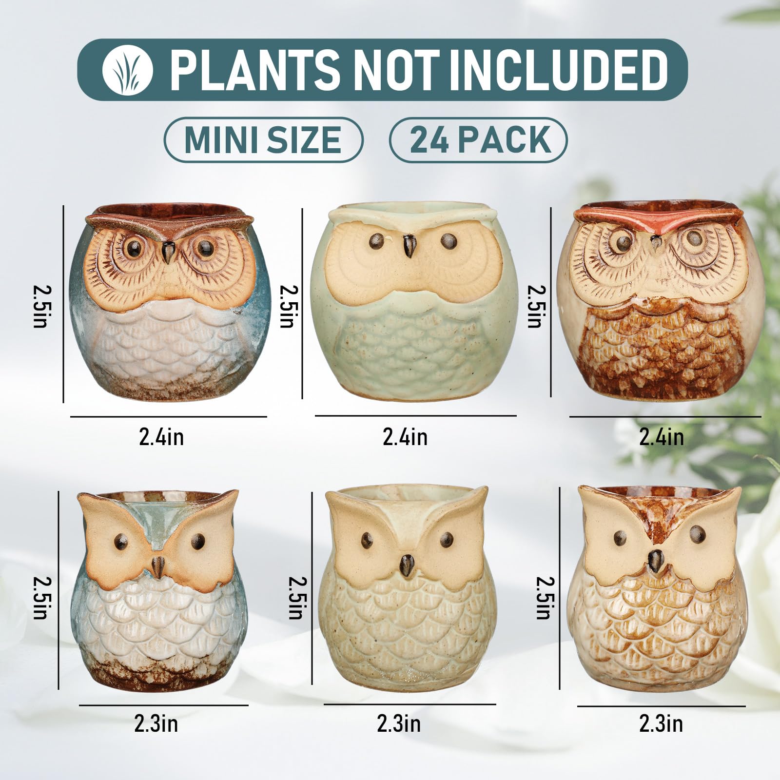 Nitial owl succulent pot side view showing whimsical charm for desks