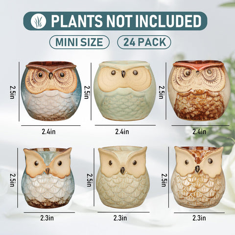 Nitial owl succulent pot side view showing whimsical charm for desks