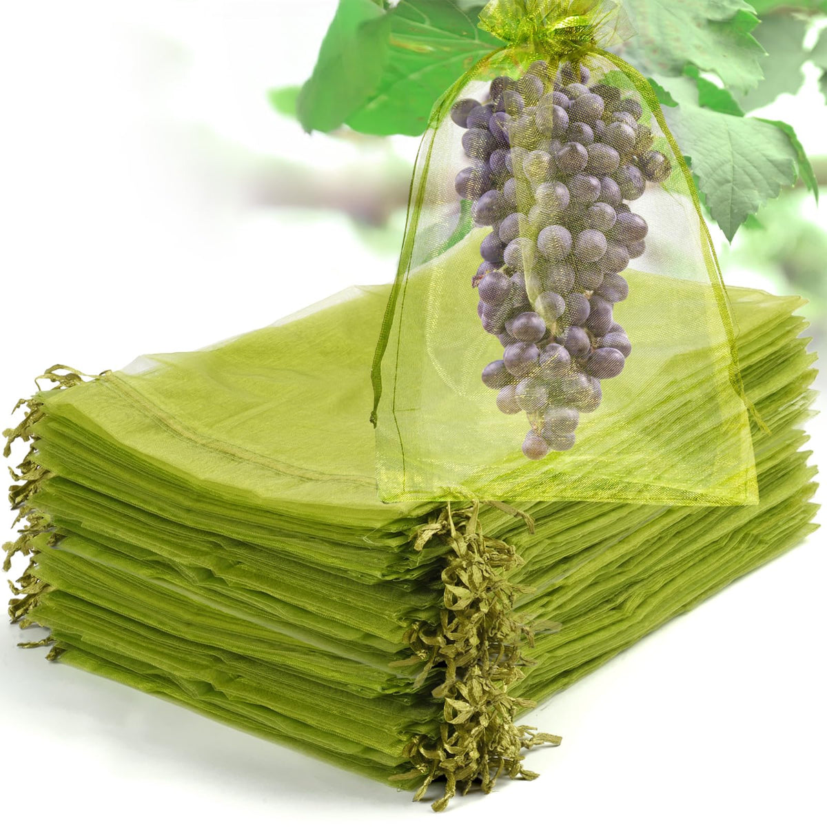 NIUBIER green fruit protection bag placed on a plant to shield ripening fruit.