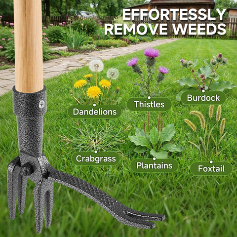 Niulight chemical-free weed control protects families and pets.