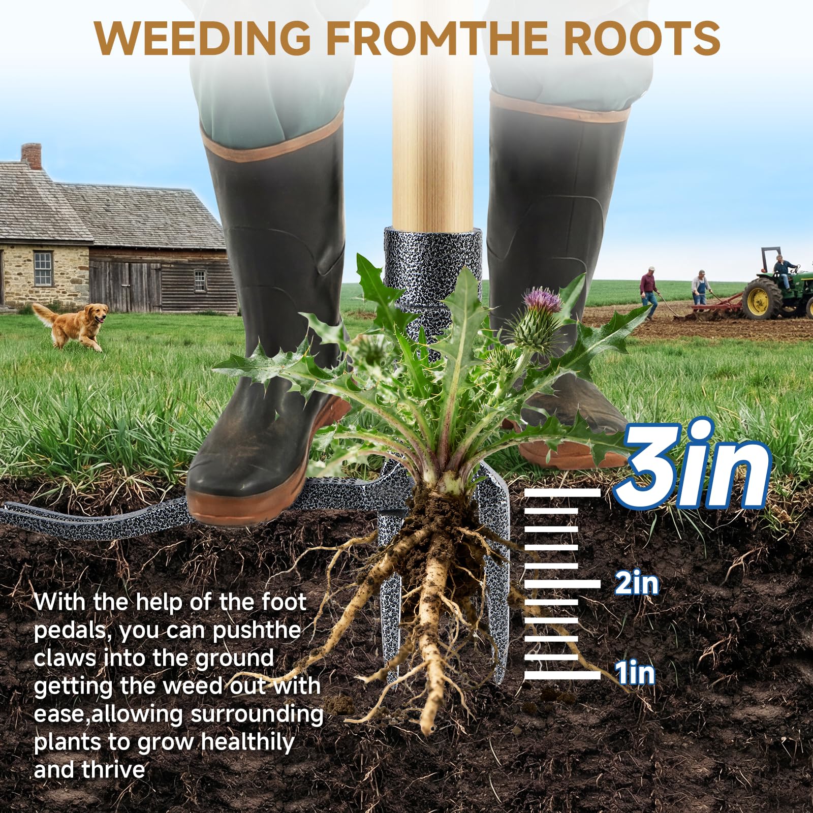 Niulight senior-friendly weed puller enables stand-up gardening for all ages.