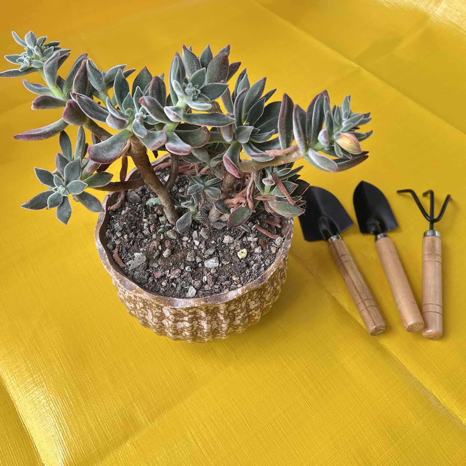 NiuXTool mini gardening tools set for kids with rake, great for light soil tasks and play