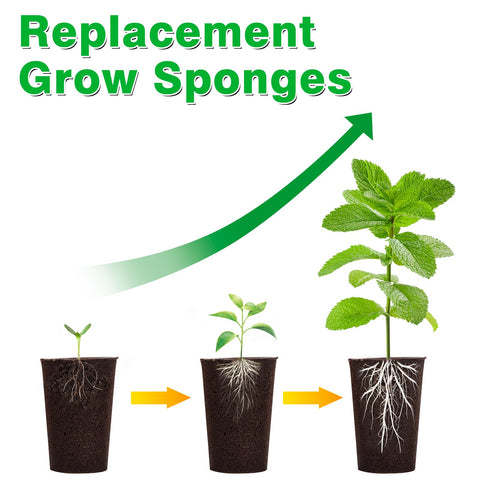 Niuyhe floral-arrangements-sponges for flowers and arrangements with root-friendly growth