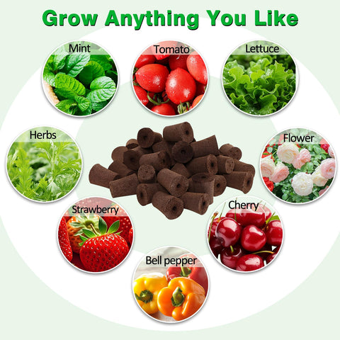 Niuyhe indoor-outdoor-gardening suitable for hydroponic-to-soil transitions