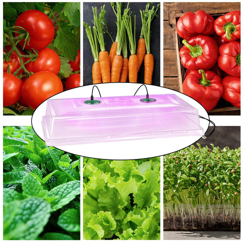 Niuyhe propagation kit supports microgreens and herb crops with visibility