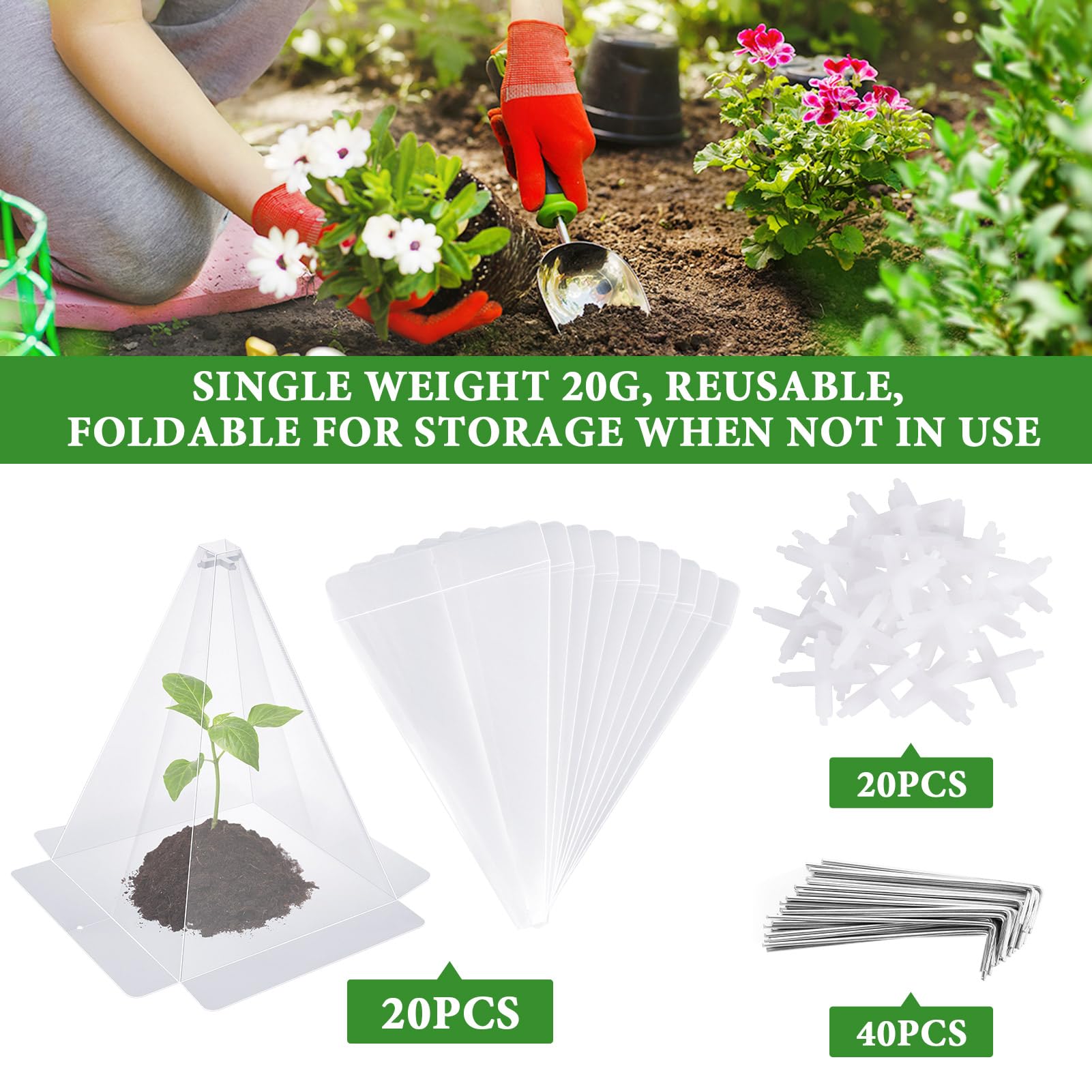 Niuyhe seedling protection cloche shields from pests while letting light in